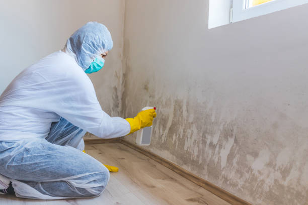 Mold Remediation specialist working in Convent Station