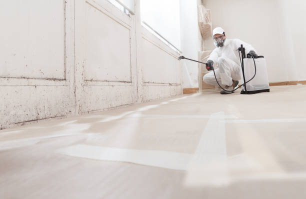 Black mold remediation team in Convent Station